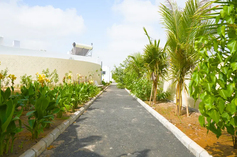 Walking and Jogging Track
